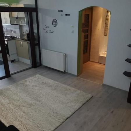 Ana Lux Apartments Brassó Kültér fotó