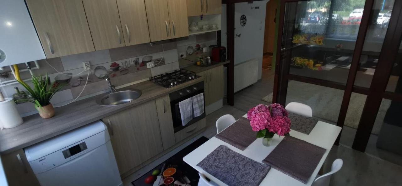 Ana Lux Apartments Brassó Kültér fotó